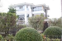2011.02.16小区一角