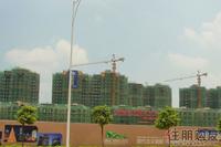 国际住区工程进度(7.26)