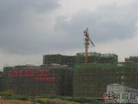 项目内部实景(5.11)