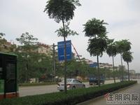 周边配套实景(5.11)