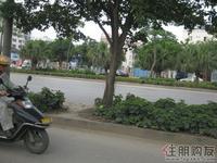周边配套实景(5.11)