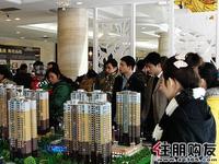住朋购友看房团网友正围在沙盘旁听取项目的介绍