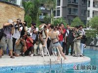 摄影爱好者们正在拍照