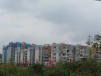 2011.10.29粼江花园