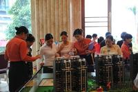 9.24二期2#楼预约 了解房源情况