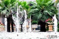 天湖·御林湾实景图8