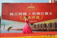 远辰·金湾蓝岸9.25开盘