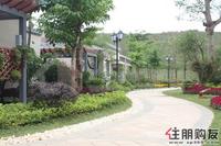 2011.6.22  保利·童心缘园林实景