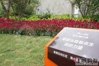 2011.6.22  保利·童心缘园林实景