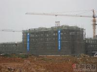 已近封顶(3.7)