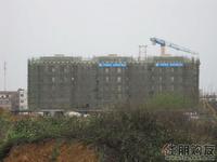 建设中楼栋(3.7)