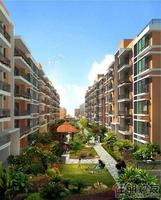 古鼎香·四季商城 效果图