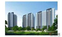 桃花源效果图(8.23)
