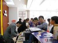 11.26 现场达成认购意向