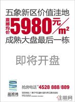 蓝波湾广告欣赏(11.03)