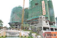 7.1 童心缘工程进度图