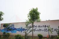 9.26云星·钱隆江南外墙广告