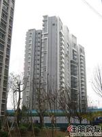 2011.03.09小区园林