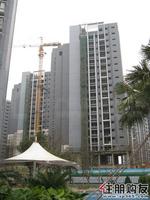 2011.03.09项目落架