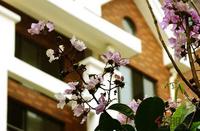 公园大地8月24日实景图