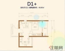 北部湾1号D1+户型图