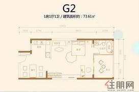 北部湾1号G2户型图