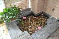 尚东御景D户型样板房