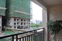 尚东御景D户型样板房