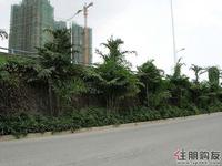 万昌·邕江明珠周围实景图