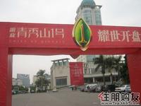 2011.3.27振业首次开盘