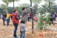 瀚林植树节（3.12）