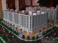 2010.09项目沙盘图