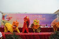  “与区运同精彩”-北部湾商品博览会暨2011钦州联合消费购物节