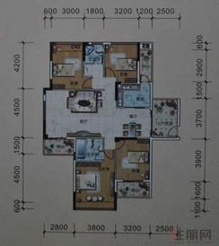 【公园1号E2户型】4室2厅2卫1厨2阳台