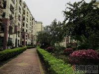 南宁奥园3.28园林实景图