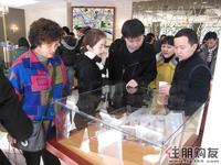 购房者正在研究户型图