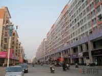 11月4日 商铺林立