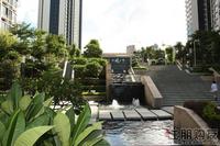 2011.6.15民发·大观天下实景图