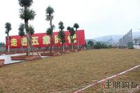 碧水天和实景图