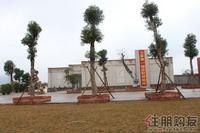 碧水天和实景图