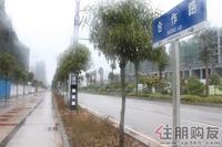 最新实景图（2011.02.16）