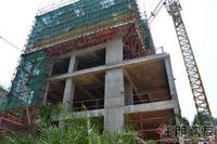 启美新城4.23实景园林及工程进度