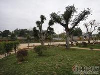 恒泰丽园园林实景图展示