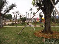 恒泰丽园园林实景图展示