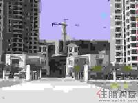 夏日海湾实景图20110804