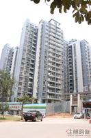 3.29 外立面实景