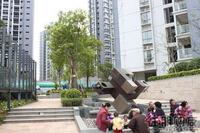 3.29 一期园林实景