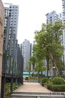 3.29 一期园林实景