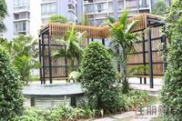 3.29 一期园林实景