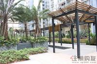 3.29 一期园林实景